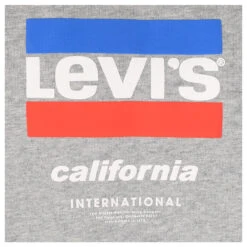 Levis Levi's® Herren Logo Hoodie Sweatshirt Light Grey -Modezauber Günstiges Geschäft levis hoodie greyprinted 0106 detail